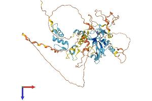 PRDM6 Protein (AA 1-595) (His tag)