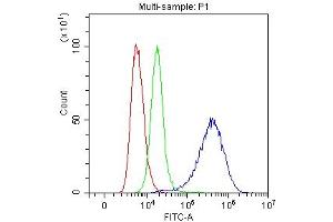 Flow Cytometry analysis of SiHa cells using anti-Mesothelin antibody (ABIN3043459).