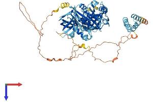 HBS1L Protein (AA 1-684) (His tag)