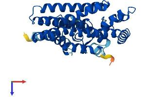 GGPS1 Protein (AA 1-300) (His tag)