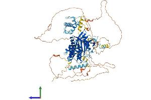 Protein Structure (PS) image for Myb-Like, SWIRM and MPN Domains 1 (MYSM1) (AA 1-819) protein (His tag) (ABIN7564013)