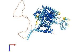 SLC28A3 Protein (AA 1-703) (His tag)