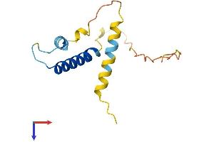 ID3 Protein (AA 1-119) (His tag)