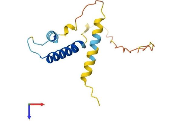 ID3 Protein (AA 1-119) (His tag)