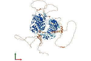 Protein Structure (PS) image for Lysine (K)-Specific Demethylase 2A (KDM2A) (AA 1-1162) protein (His tag) (ABIN7554326)