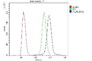 Flow Cytometry analysis of SiHa cells using anti-CTBP2 antibody (ABIN3042768).