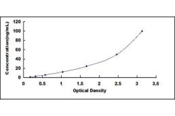 Hephaestin ELISA Kit