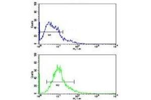 Flow Cytometry (FACS) image for anti-Beclin 1, Autophagy Related (BECN1) (AA 210-239) antibody (ABIN3030156)