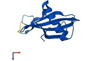 CSTA Protein (AA 1-97) (His tag)