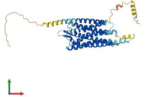 Protein Structure (PS) image for Neuropeptide S Receptor 1 (NPSR1) (AA 1-371) protein (His tag) (ABIN7549775)