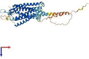 NTSR2 Protein (AA 1-410) (His tag)