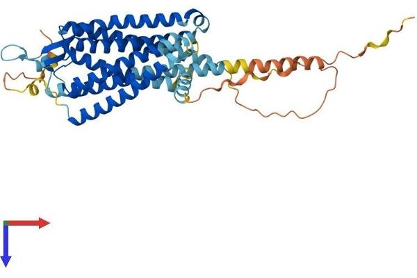 NTSR2 Protein (AA 1-410) (His tag)