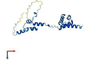 NOP16 Protein (AA 1-178) (His tag)