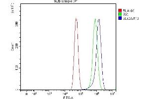 Flow Cytometry analysis of U87 cells using anti-Citrin/SLC25A13 antibody (ABIN7599512). (slc25a13 Antikörper  (AA 1-643))