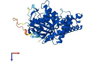TUBAL3 Protein (AA 1-446) (His tag)