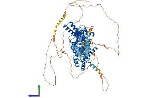 Protein Structure (PS) image for Hyperpolarization Activated Cyclic Nucleotide-Gated Potassium Channel 2 (HCN2) (AA 1-863) protein (His tag) (ABIN7562652)
