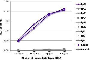ELISA plate was coated with serially diluted Human IgG1 Kappa-UNLB and quantified. (Human IgG1 Isotyp-Kontrolle)