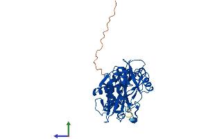 Protein Structure (PS) image for Branched Chain Amino-Acid Transaminase 1, Cytosolic (BCAT1) (AA 1-386) protein (His tag) (ABIN7562994)