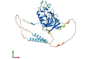 Protein Structure (PS) image for Ring Finger Protein 135 (RNF135) (AA 1-417) protein (His tag) (ABIN7560681)