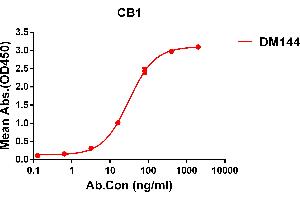 ELISA plate pre-coated by 1 μg/mL (100 μL/well) Human CB1 protein, hFc tagged protein ((ABIN6964092, ABIN7042439 and ABIN7042440)) can bind Rabbit anti-CB1 monoclonal antibody(clone: DM144) in a linear range of 5-200 ng/mL. (CNR1 Antikörper  (AA 1-116))