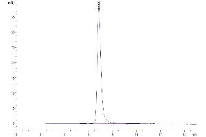 Size-exclusion chromatography-High Pressure Liquid Chromatography (SEC-HPLC) image for EPH Receptor B4 (EPHB4) (AA 16-539) protein (His tag) (ABIN7274546)
