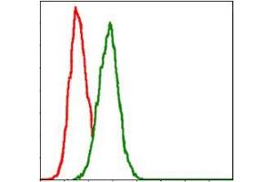 Flow cytometric analysis of Hela cells using GSTM1 mouse mAb (green) and negative control (red). (GSTM1 Antikörper)