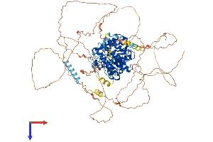 HDAC7 Protein (AA 1-952) (His tag)