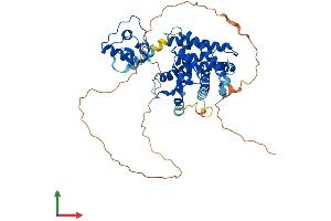 Protein Structure (PS) image for Peroxisome Proliferator-Activated Receptor gamma (PPARG) (AA 1-505) protein (His tag) (ABIN7555024)