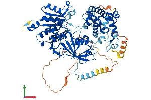 Protein Structure (PS) image for SUMO1 Activating Enzyme Subunit 2 (UBA2) (AA 1-638) protein (His tag) (ABIN7556381)