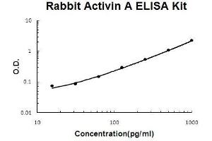 Rabbit Activin A PicoKine ELISA Kit standard curve (INHBA ELISA Kit)