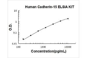 M-Cadherin (CDH15) ELISA Kit