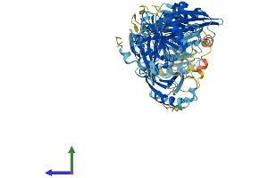 Protein Structure (PS) image for Scinderin (SCIN) (AA 1-715) protein (His tag) (ABIN7563866)