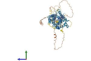 AlphaFold protein structure predicition of Mouse Recombinant Slc39a12 Protein, UniprotID Q5FWH7