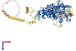SERAC1 Protein (AA 1-654) (His tag)