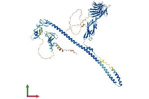 AlphaFold protein structure predicition of Human Recombinant MID2 Protein, UniprotID Q9UJV3