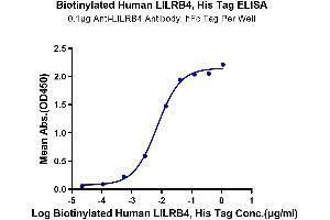 Immobilized Anti-LILRB4 Antibody, hFc Tag at 1 μg/mL (100 μL/well) on the plate.