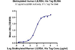 Immobilized Anti-LILRB4 Antibody, hFc Tag at 1 μg/mL (100 μL/well) on the plate. (LILRB4 Protein (AA 22-257) (His-Avi Tag,Biotin))