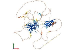 Protein Structure (PS) image for Nuclear Factor of Activated T-Cells, Cytoplasmic, Calcineurin-Dependent 1 (NFATC1) (AA 1-717) protein (His tag) (ABIN7562694)