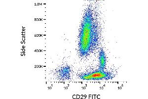 Flow cytometry analysis (surface staining) of human peripheral blood with anti-human CD29 (MEM-101A) purified, GAM-APC.