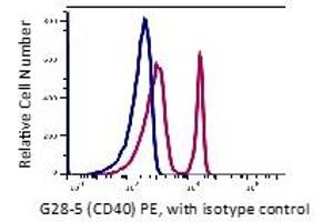Flow Cytometry (FACS) image for anti-CD40 (CD40) antibody (PE) (ABIN6253103) (CD40 Antikörper  (PE))