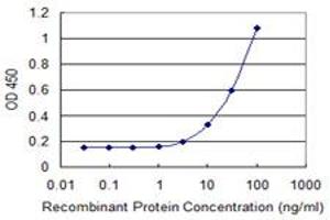 Detection limit for recombinant GST tagged TWIST1 is 1 ng/ml as a capture antibody. (TWIST1 Antikörper  (AA 106-174))