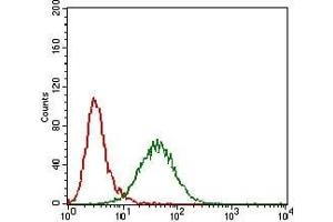 Flow cytometric analysis of Hela cells using GAB2 mouse mAb (green) and negative control (red). (GAB2 Antikörper  (AA 332-476))