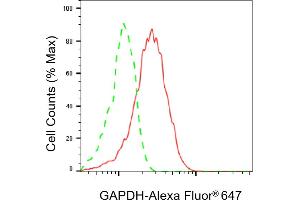 Flow cytometric analysis of GAPDH expression in HepG2 cells using GAPDH antibody (ABIN7798764), 1:2,000). (GAPDH Antikörper)