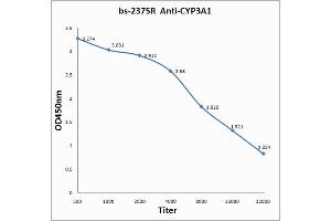 Antigen: 0. (CYP3A4 Antikörper)