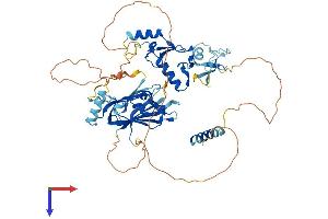 UBOX5 Protein (AA 1-539) (His tag)