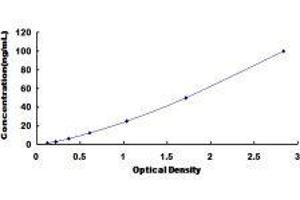 ELISA image for Histone Deacetylase 4 (HDAC4) ELISA Kit (ABIN420523)