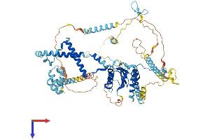 PRPF3 Protein (AA 1-683) (His tag)