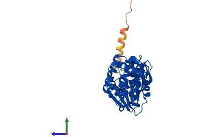 Protein Structure (PS) image for DIM1 Dimethyladenosine Transferase 1 Homolog (DIMT1) (AA 1-313) protein (His tag) (ABIN7547150)