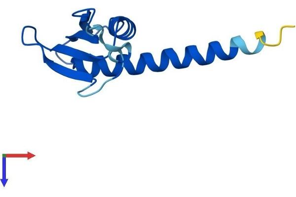 POLR2J3 Protein (AA 1-115) (His tag)