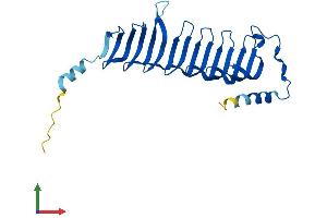 Protein Structure (PS) image for MORN Repeat Containing 3 (MORN3) (AA 1-240) protein (His tag) (ABIN7549454)